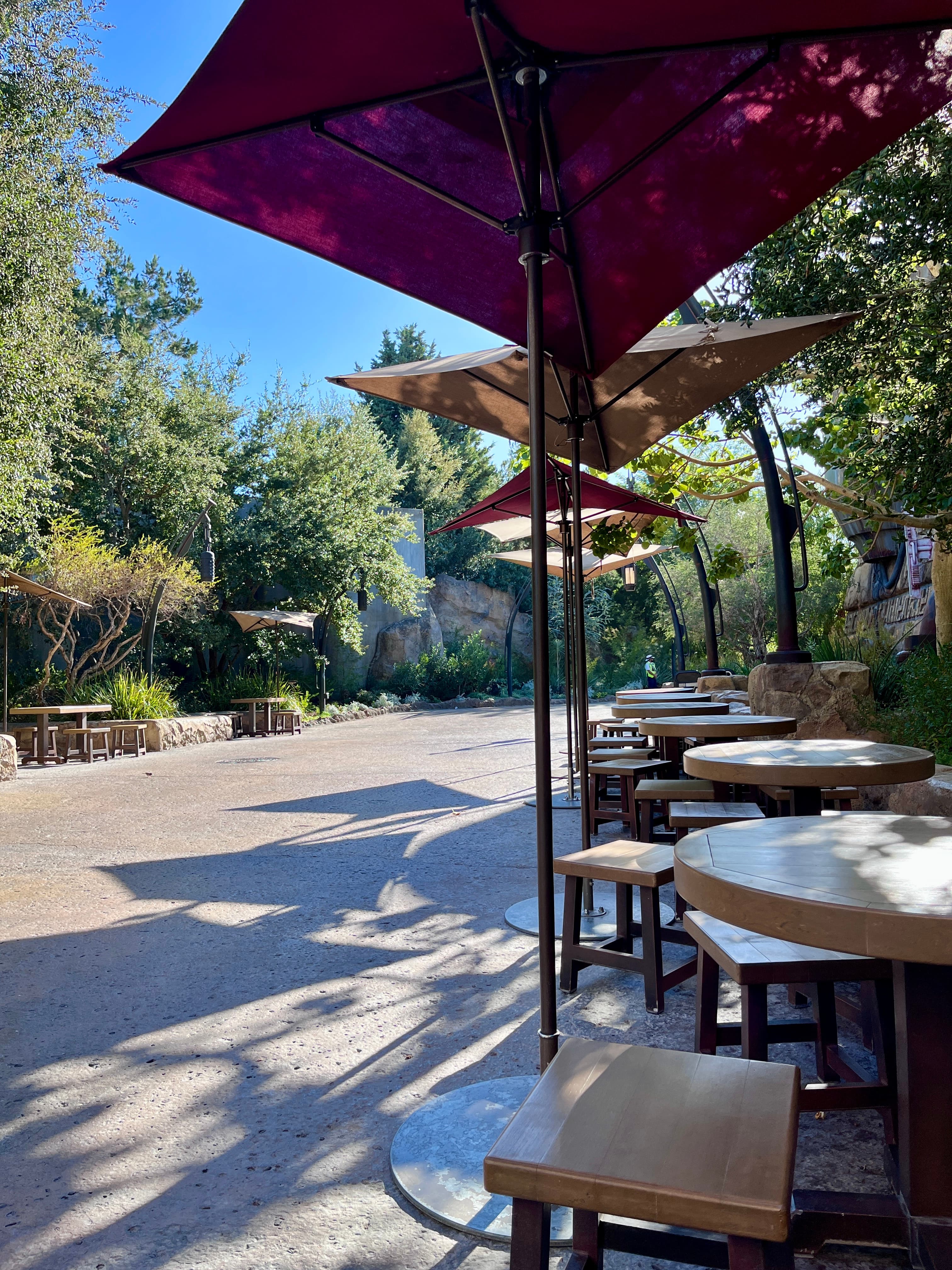Quiet shaded tables at Disneyland during a lower-crowd part of the day